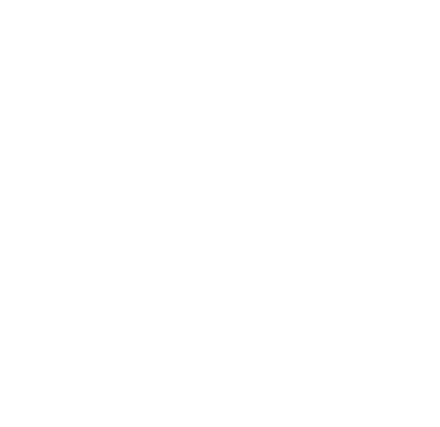 Flip Icon