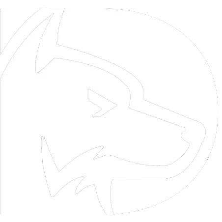 Повторное согласие