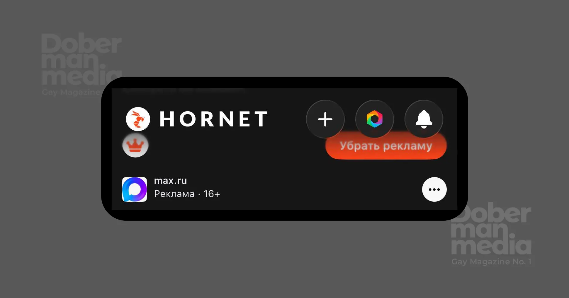 В Hornet появилась реклама российского мессенджера MAX. После обращения Doberman.media её удалили 1 24234