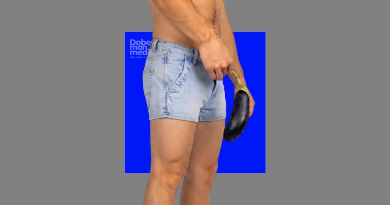 42332343