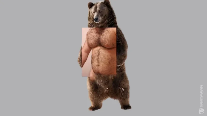 57658